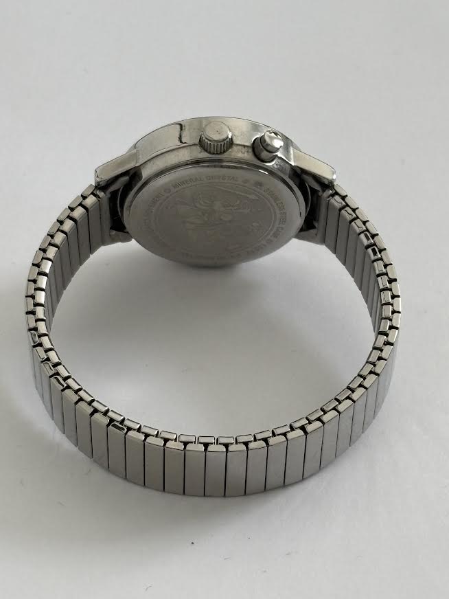 Silver Dakota Steel Expandable Watch