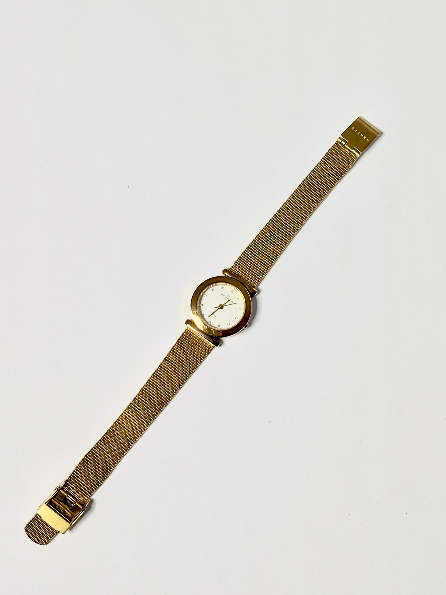 Golden Skagen Watch