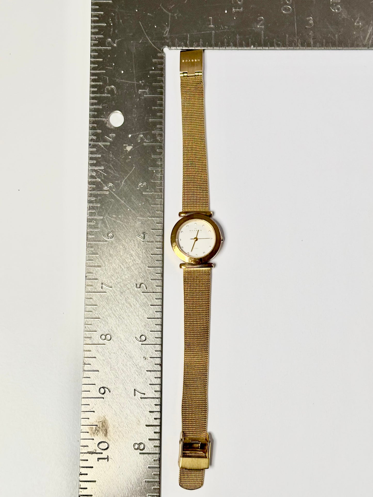 Golden Skagen Watch
