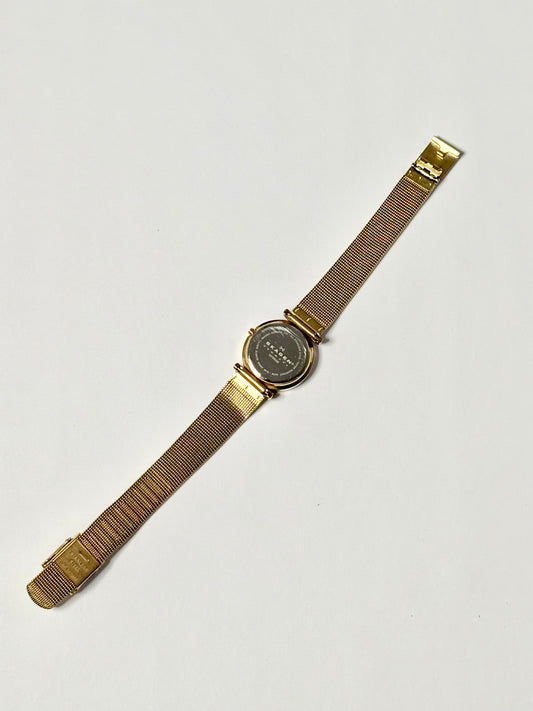 Golden Skagen Watch